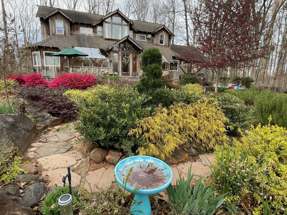 The Other Things She Does