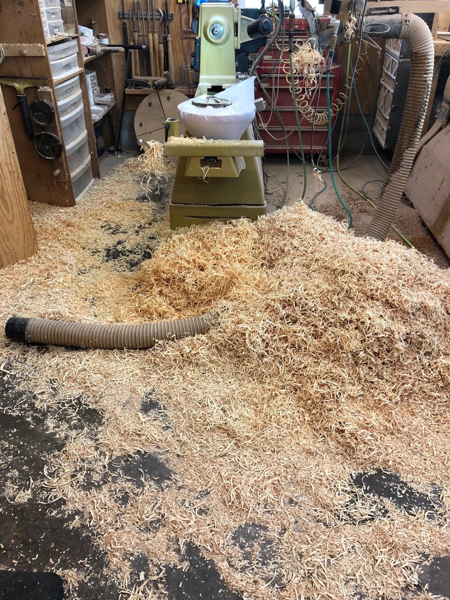 Another Day in Paradise