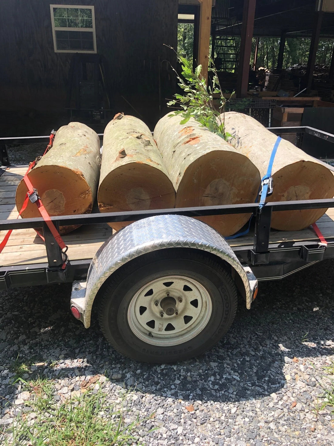 The Logs, The Logs