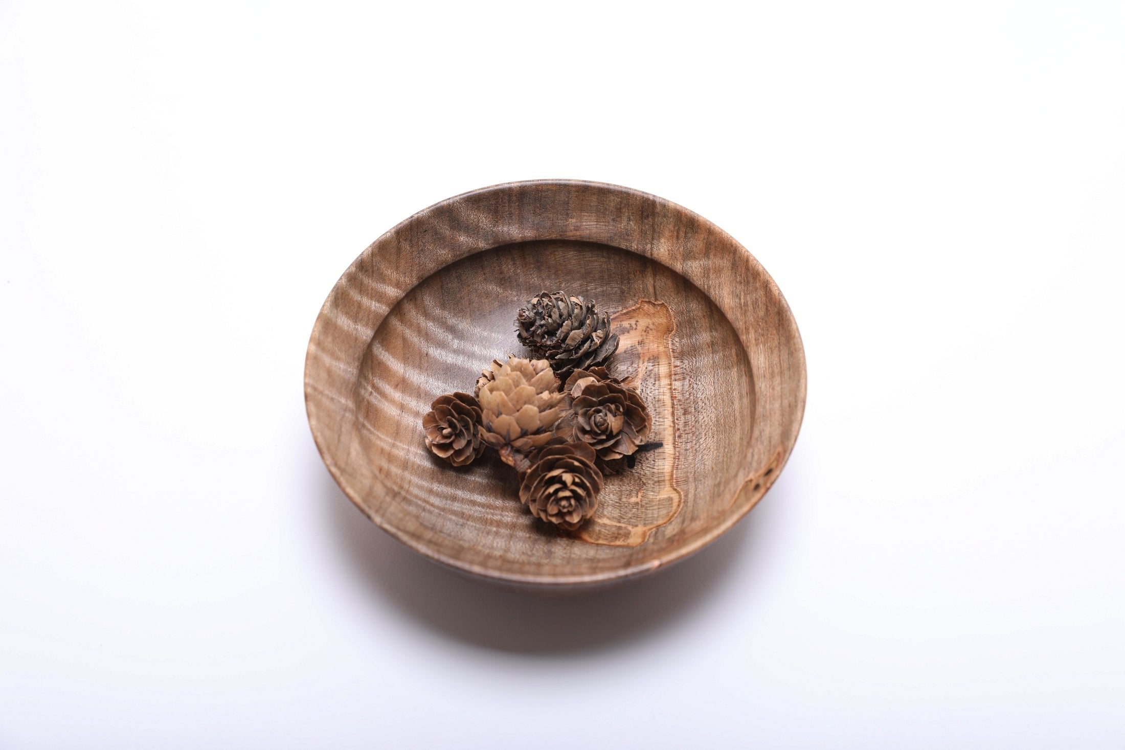 #2836 Small Spalted Tiger Ambrosia Maple Wooden Bowl  (5 3/8" x 1 7/8")