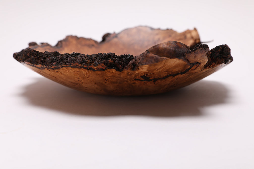 #2568 Birdseye Sweet Gum Burl Wooden Bowl   11 1/2" x 2 1/2"