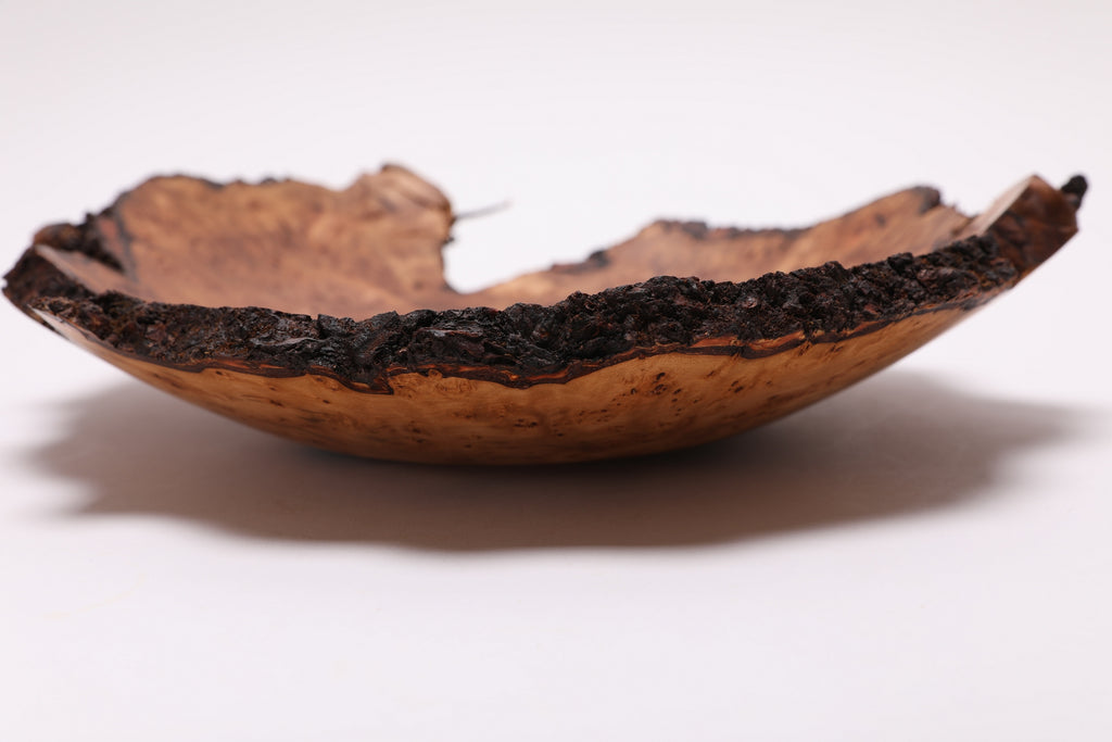 #2568 Birdseye Sweet Gum Burl Wooden Bowl   11 1/2" x 2 1/2"