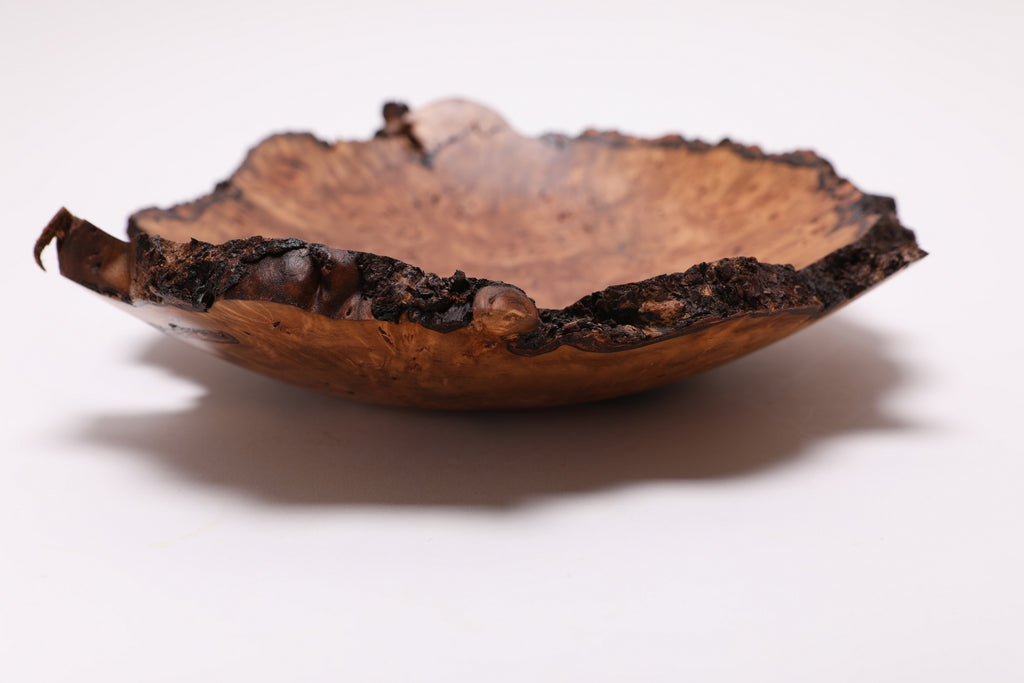 #2568 Birdseye Sweet Gum Burl Wooden Bowl   11 1/2" x 2 1/2"