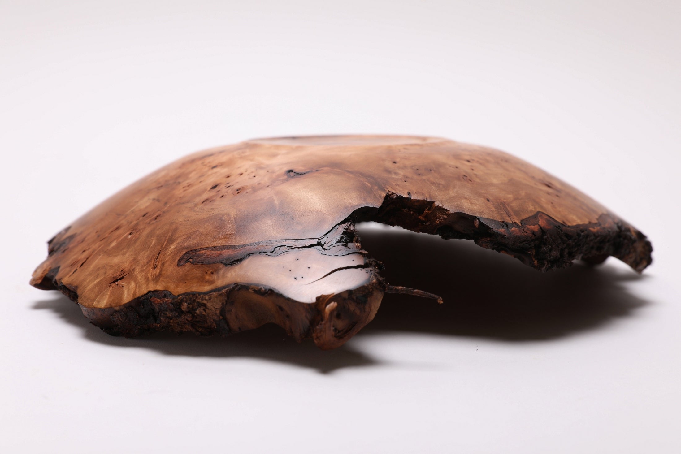 #2568 Birdseye Sweet Gum Burl Wooden Bowl   11 1/2" x 2 1/2"