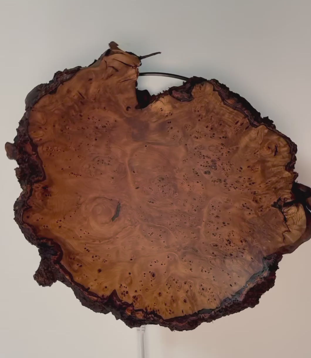 #2568 Birdseye Sweet Gum Burl Wooden Bowl   11 1/2" x 2 1/2"