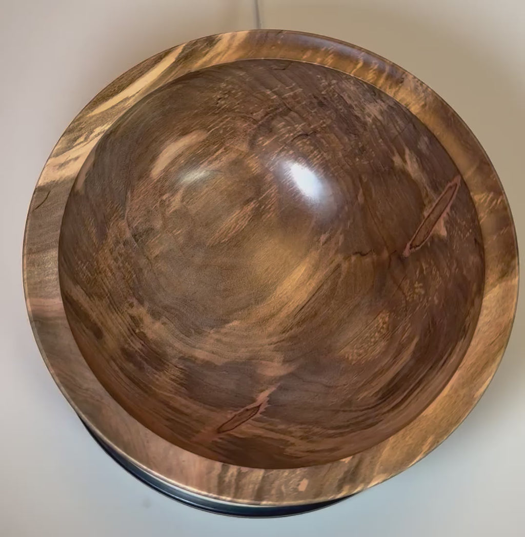 #2697 Spalted Ambrosia Maple Wooden Bowl  (9 1/2" x 3 5/8")