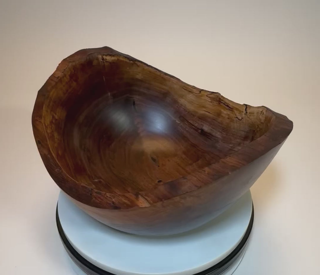 Rotating view of spalted wild black walnut natural edge crotch burl bowl #2775 — 10⅝" × 5½"